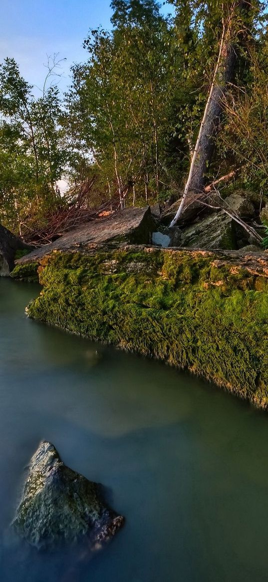 rocks, coast, moss, water, trees