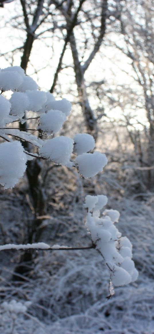 winter, road, snow, grass, frost