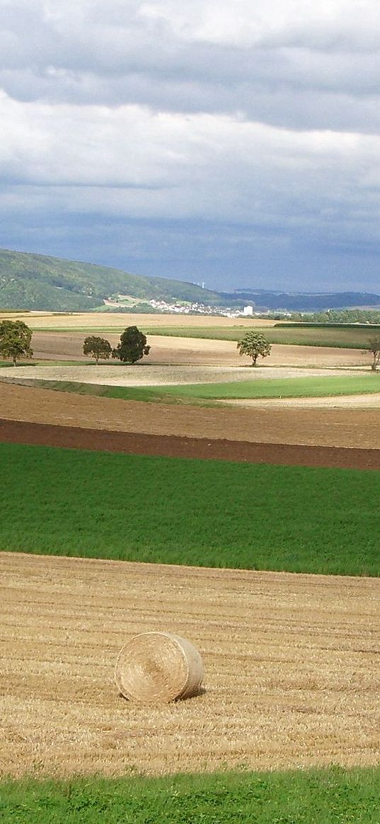 hay, bales, field, august