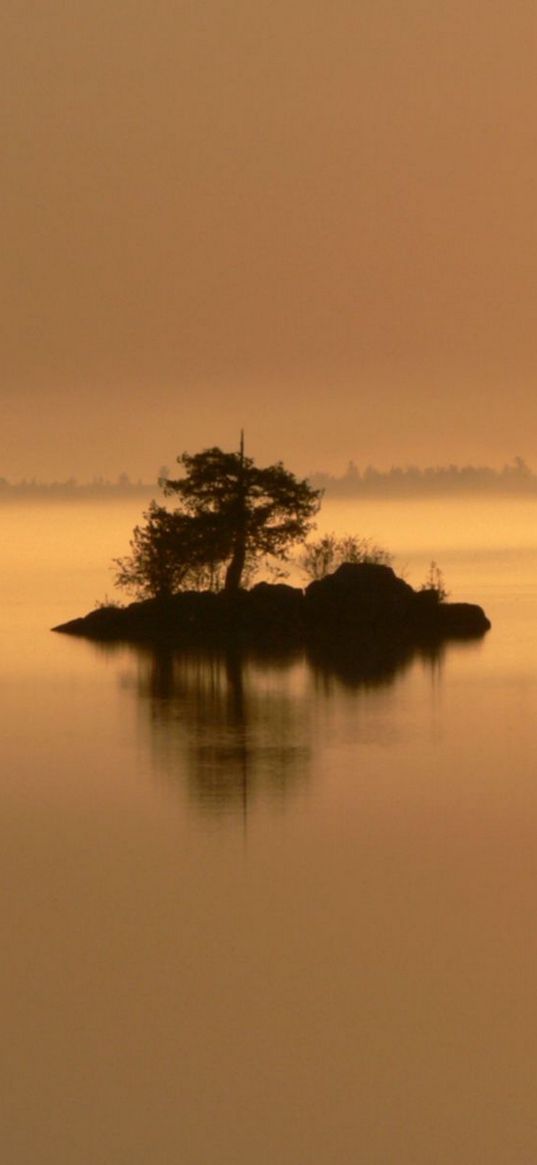 island, tree, bushes, evening, loneliness