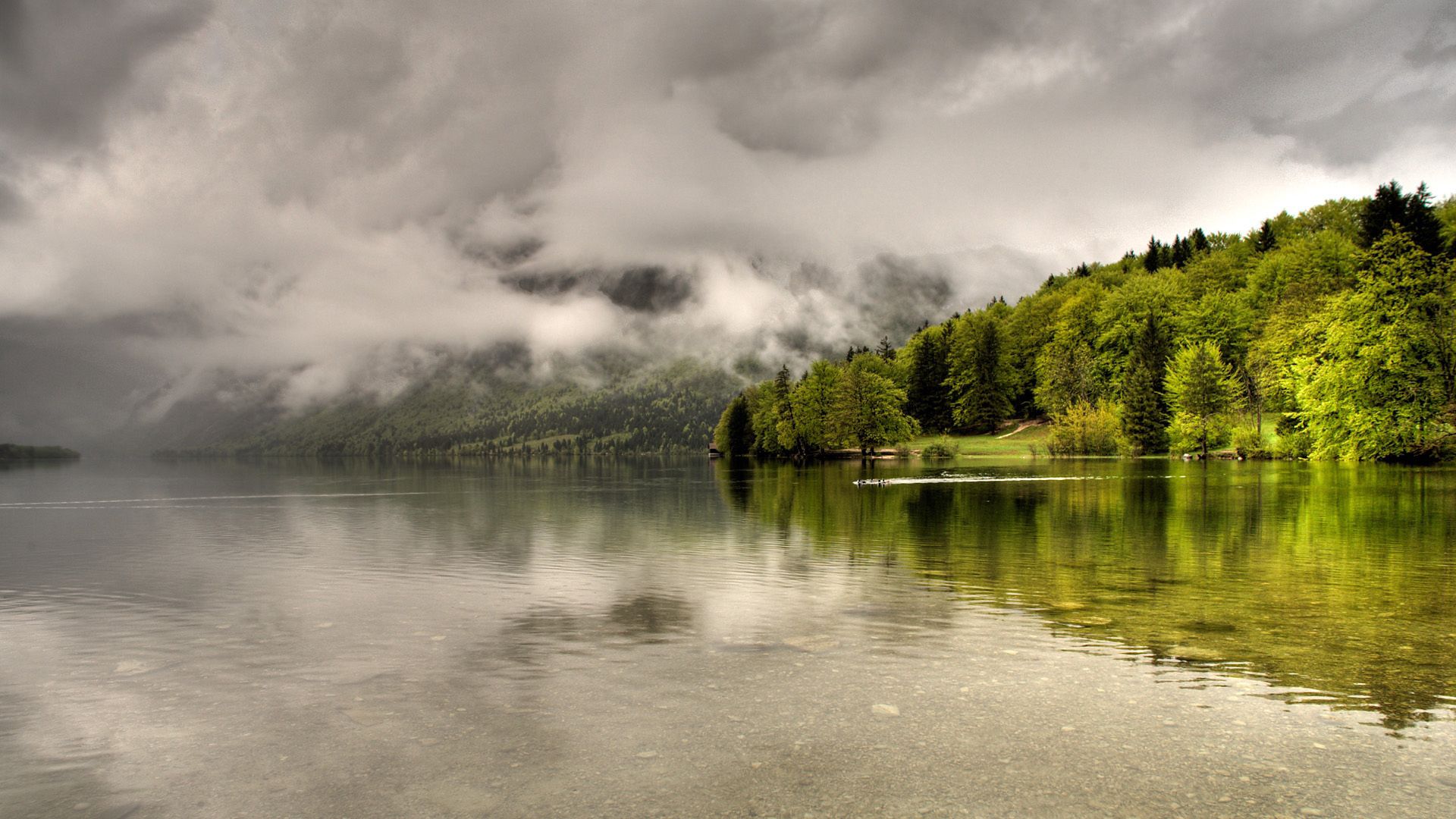 trees, lake, coast, clouds, haze, cloudy
