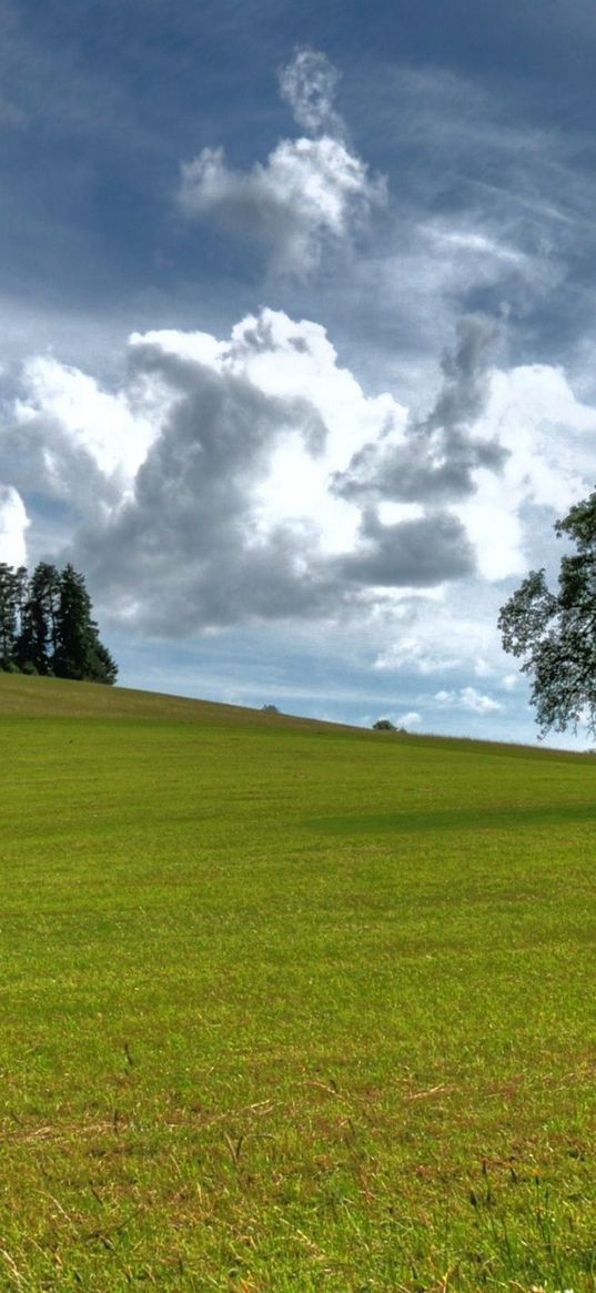 trees, summer, grass, sky, clouds, air