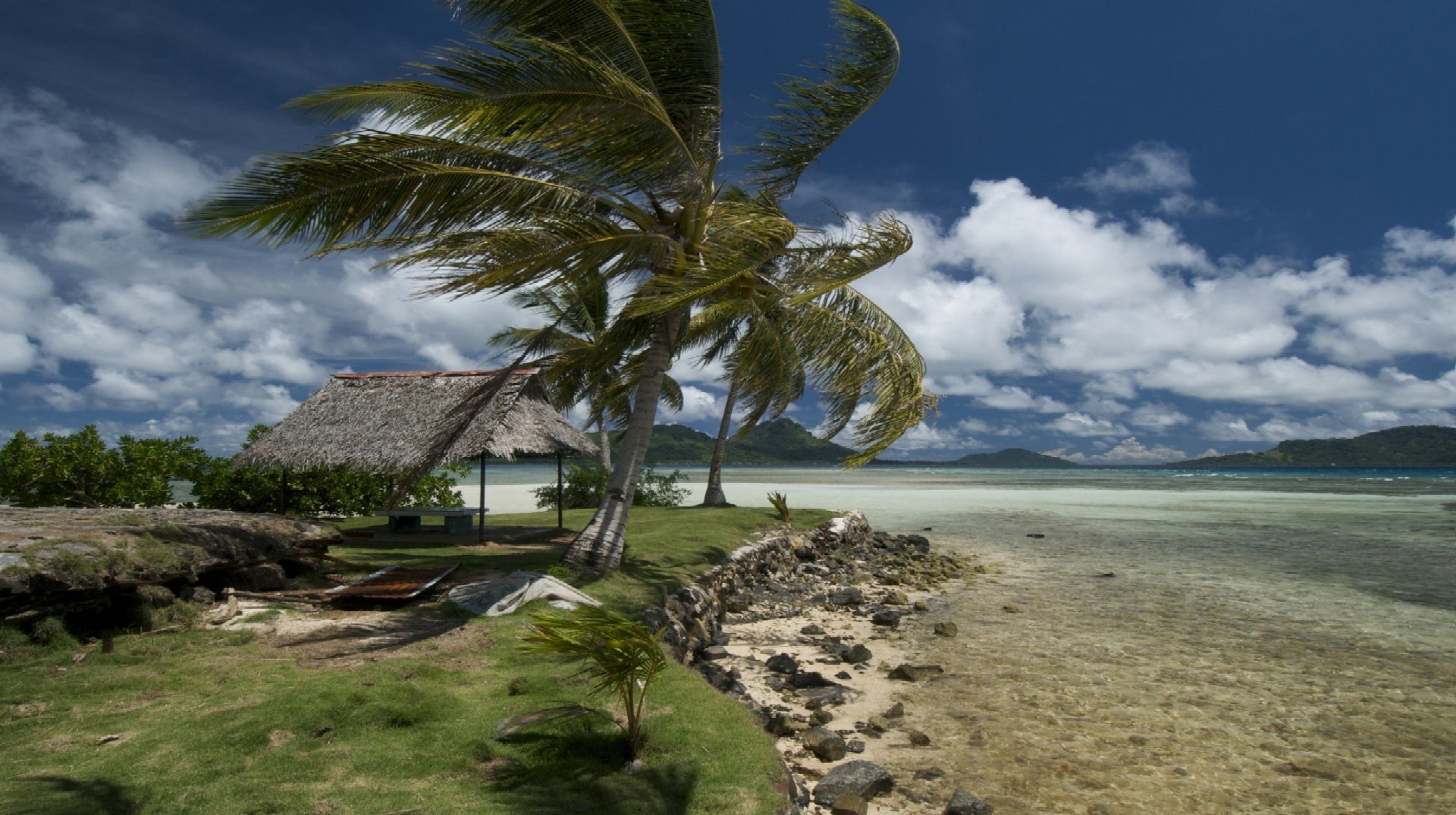 beach, wind, coast, canopy, tropics