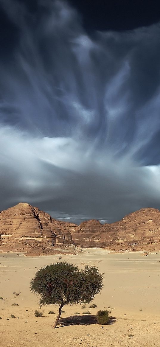 sky, sand, clouds, tree, open spaces, desert