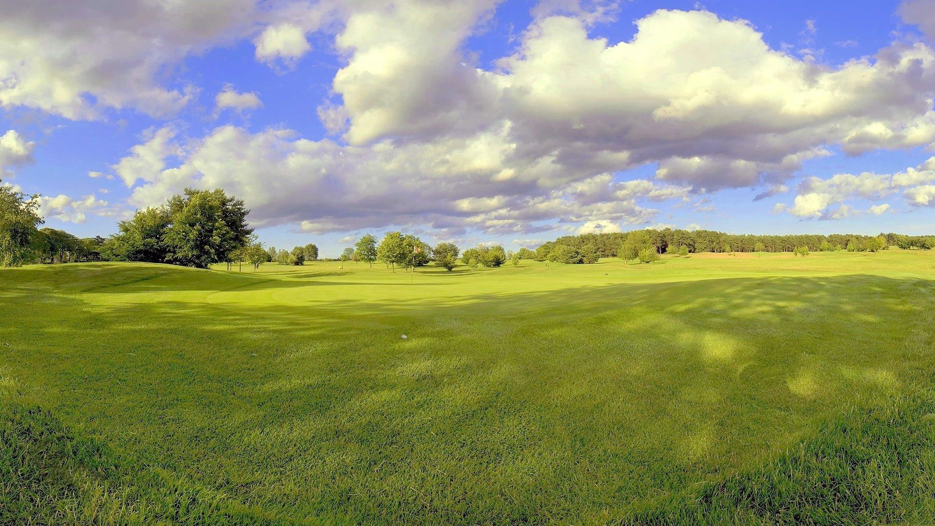 meadow, trees, clouds, solarly