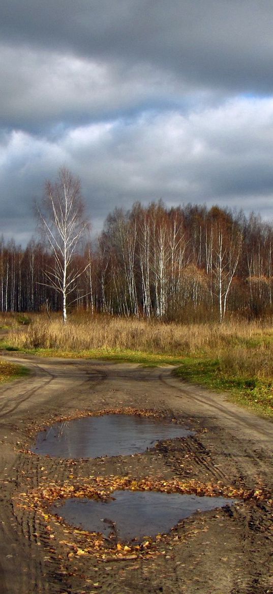 pools, road, country, wood, withering