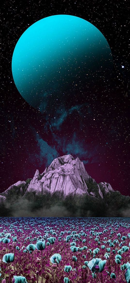 flowers, field, mountain, starry sky, planet, uranus