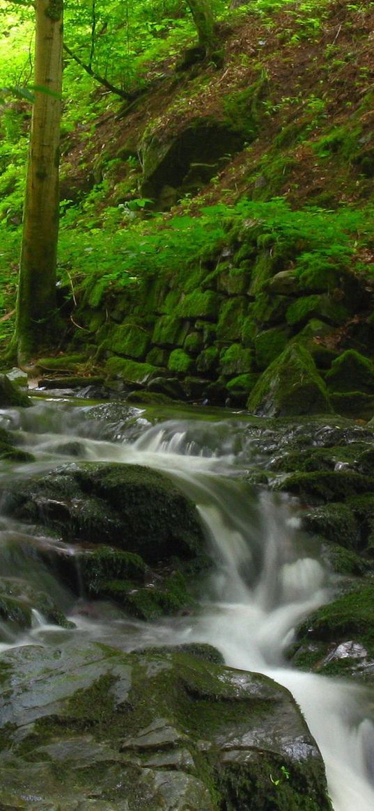 stream, river, wood, stones, murmur