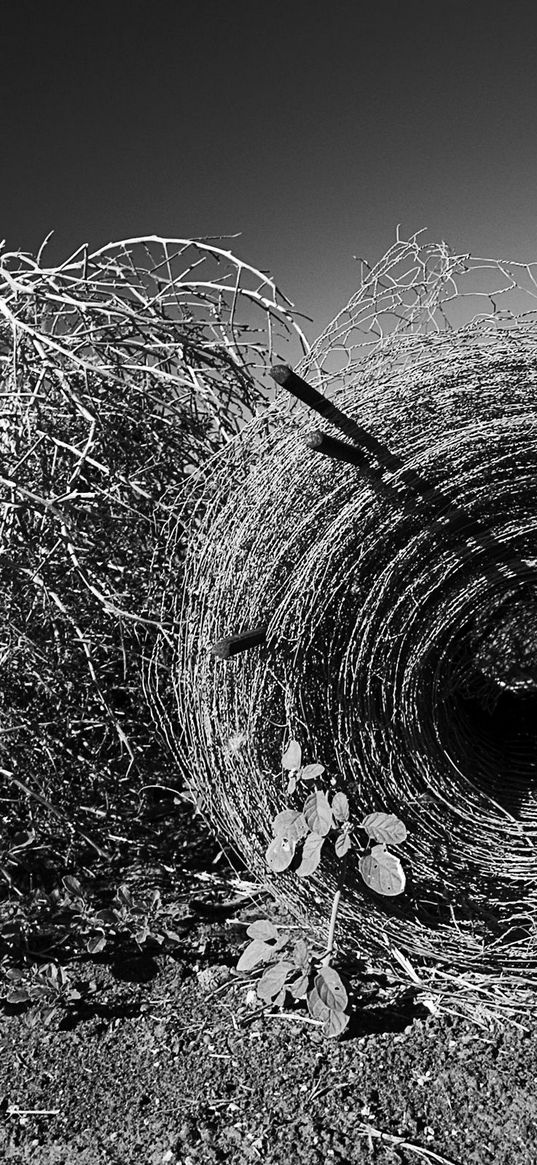 hay, bale, black-and-white