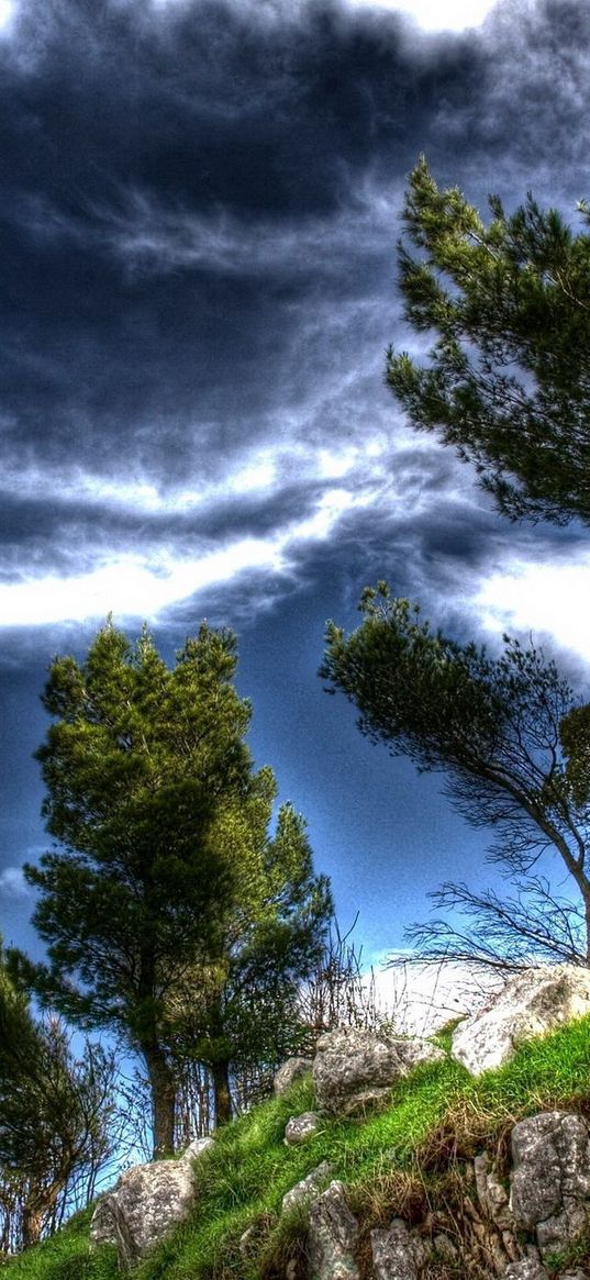 trees, break, clouds, sky, air