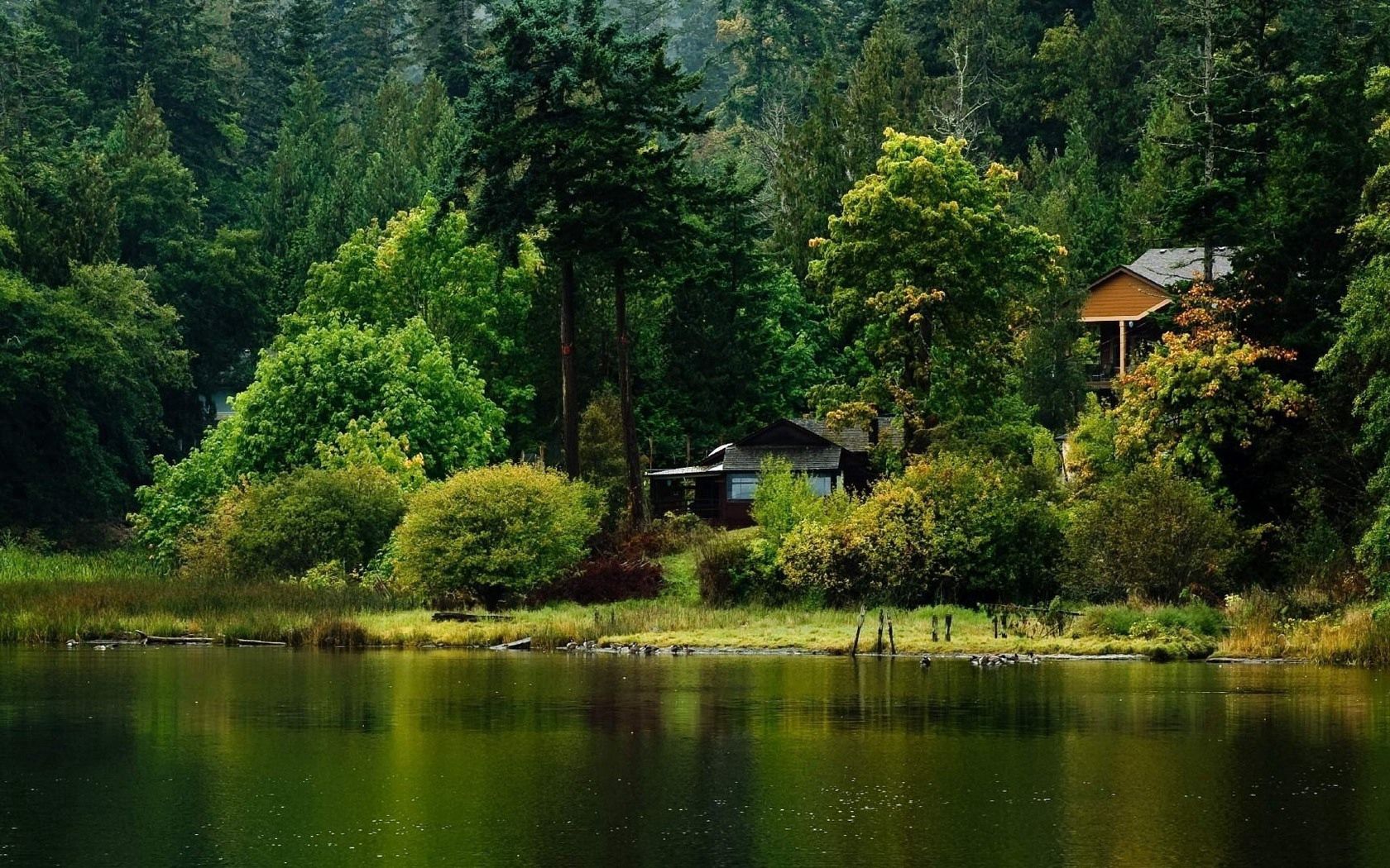 lodge, wood, lake, coast