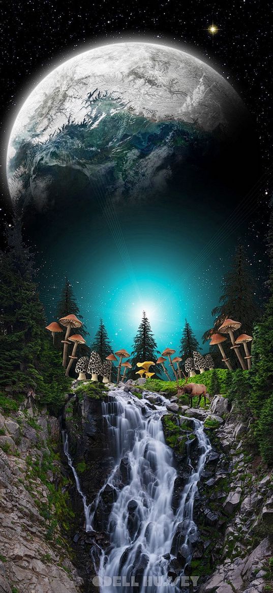 stones, waterfall, forest, trees, star, planet, starry sky