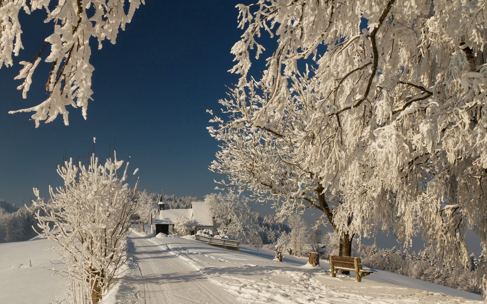 oad, hoarfrost, branches, winter, bench, solarly