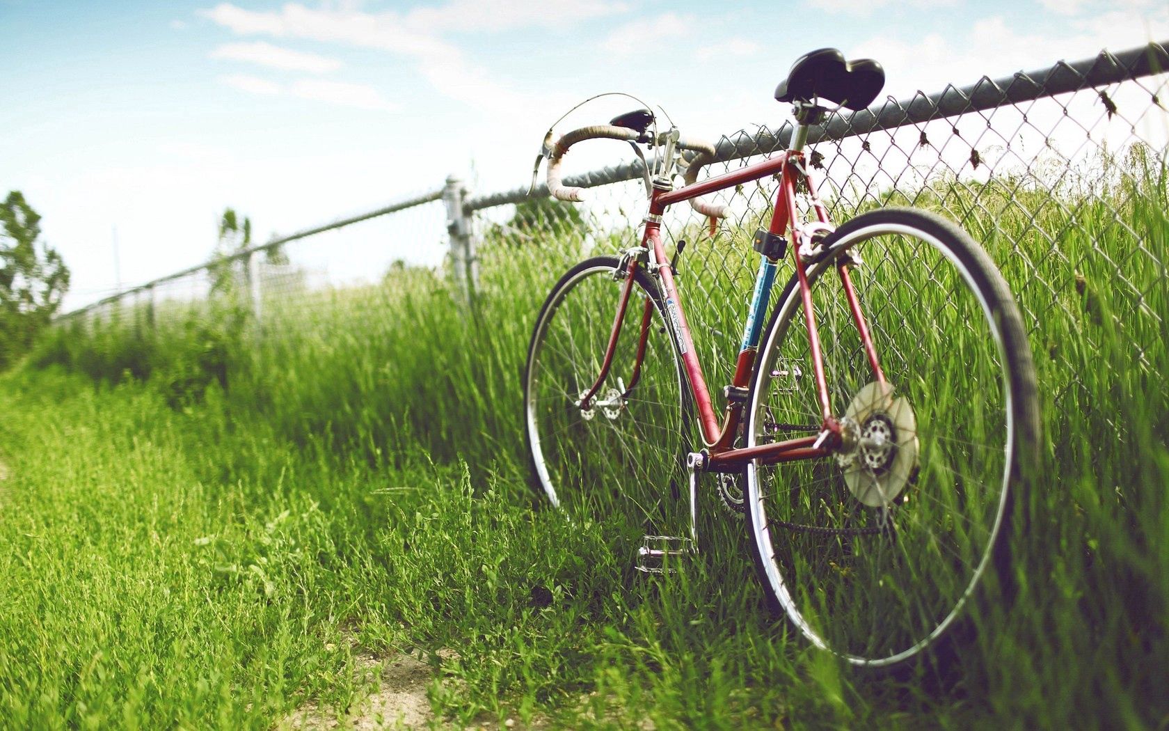 bicycle, fence, field, grass, summer