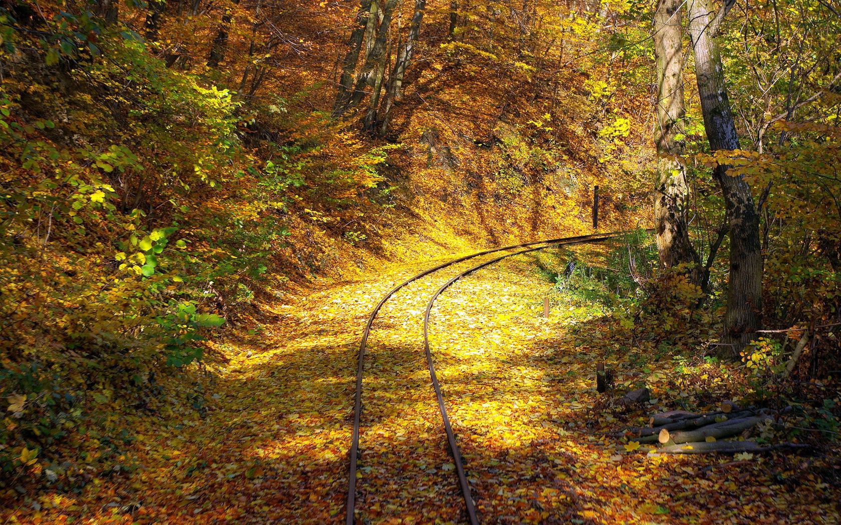 railway, wood, leaf fall, turn, rails