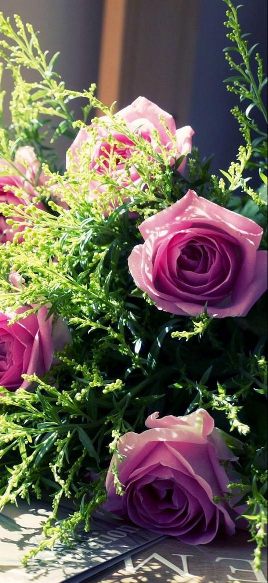 roses, flowers, flower, green, hat, picture