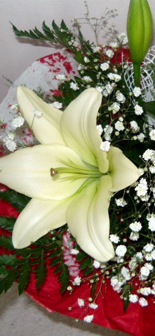 lilies, babys breath, fern, flower, decoration