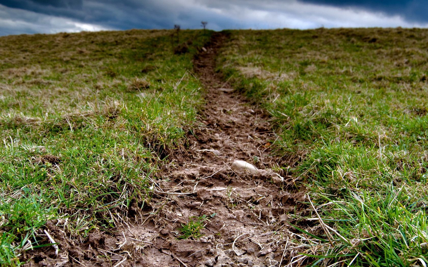 grass, earth, dirt, cloudy