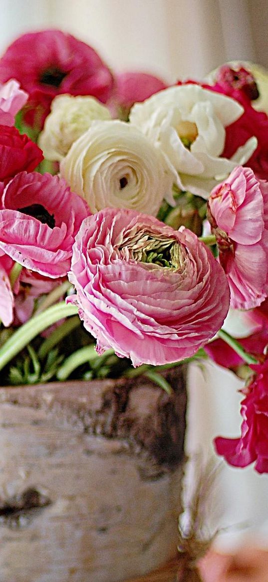 ranunkulyus, flowers, bouquet, elm