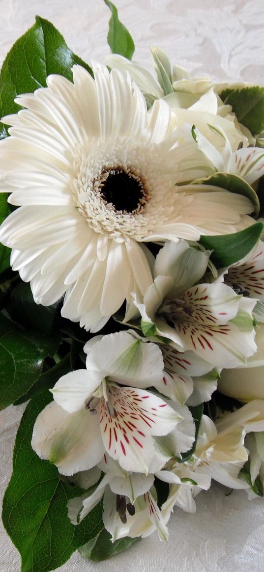 gerbera, roses, alstroemeria, bouquet, beautifully