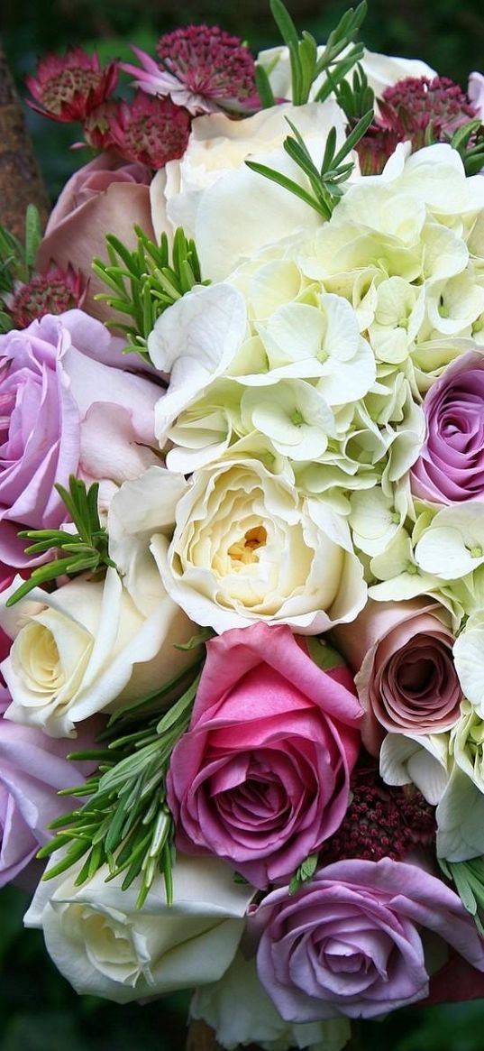 roses, hydrangeas, astrantsiya, flowers, bouquet, sharpness