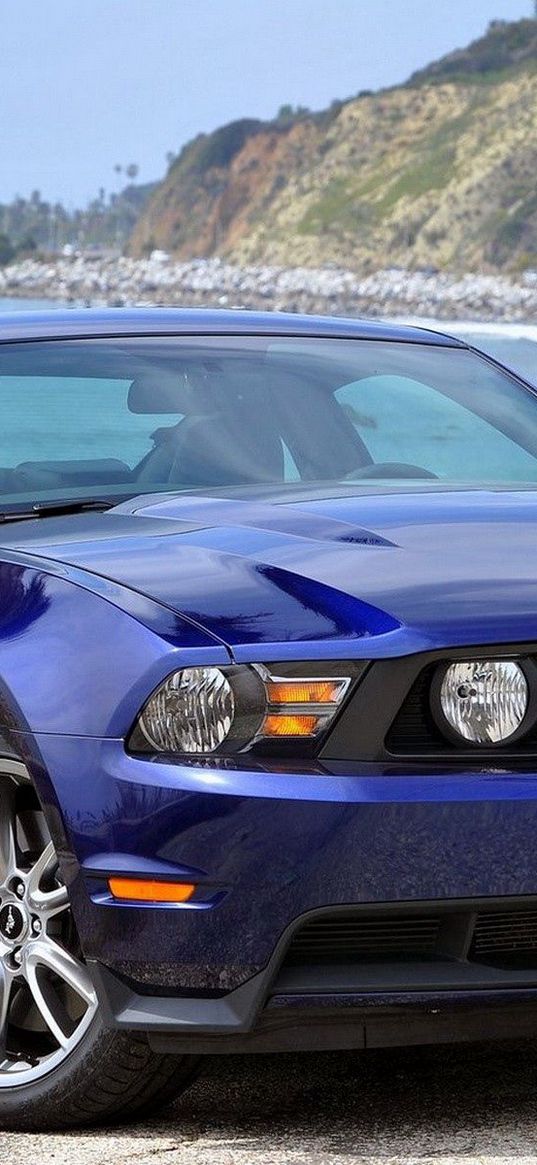 mustang, blue, nature, front view