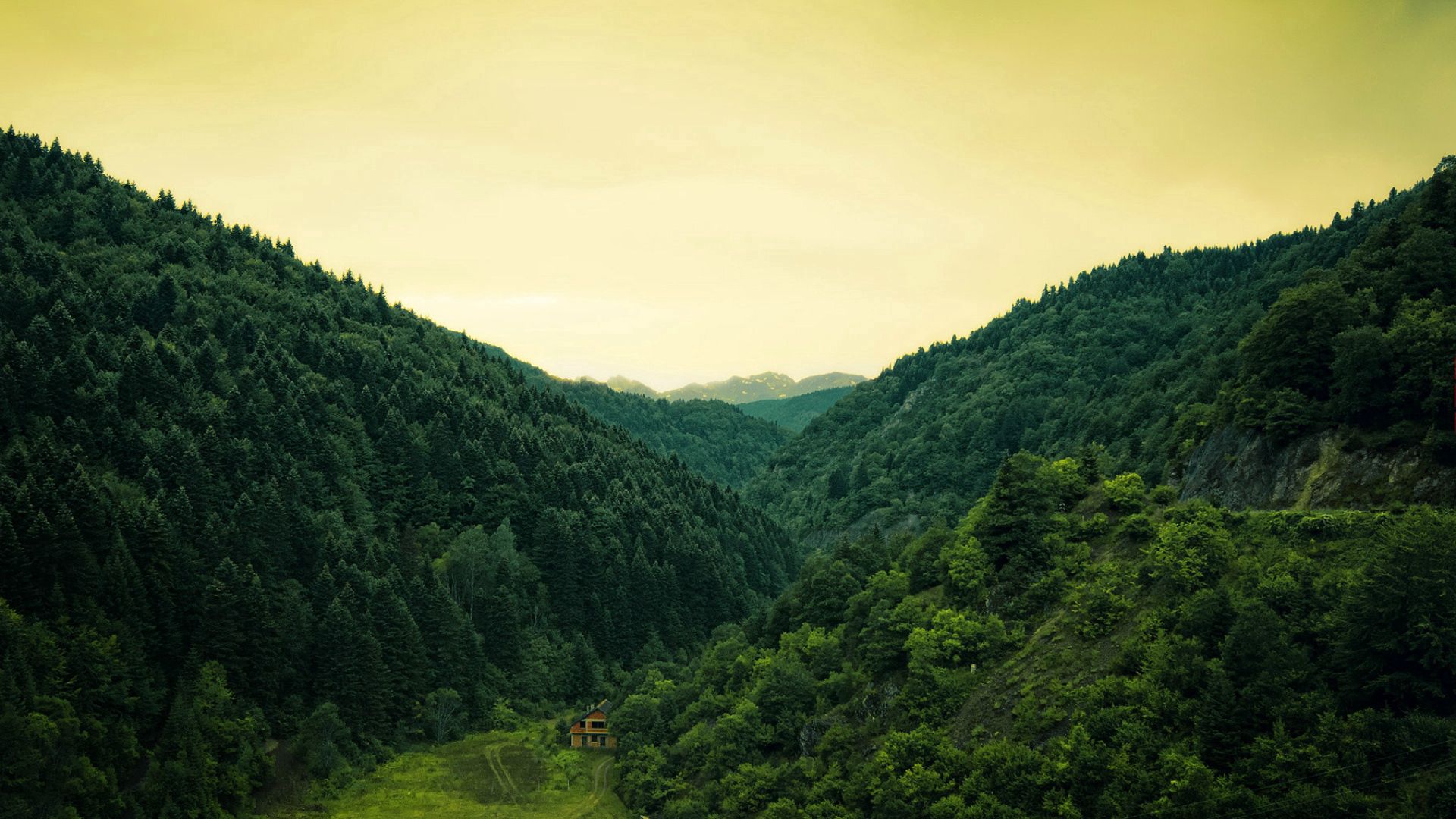 wood, lodge, solitude, mountains, green