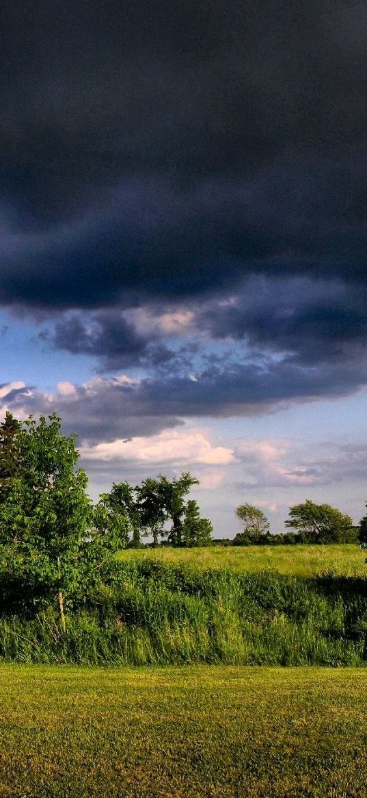 clouds, summer, trees, panorama