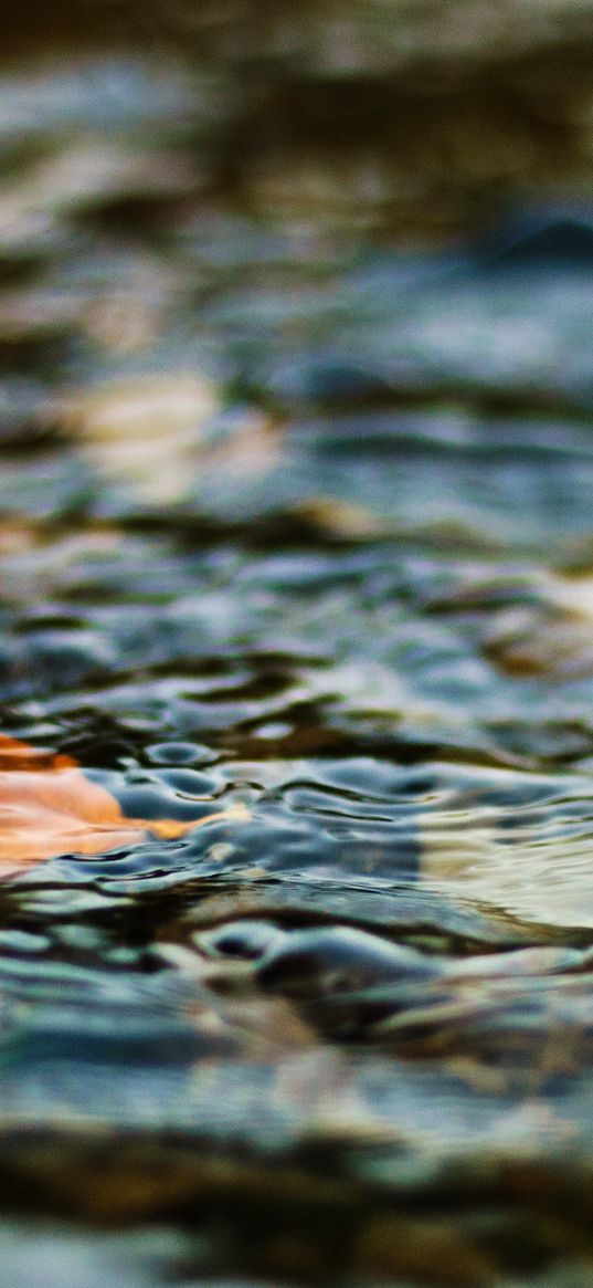 water, leaf, ripples, excitement