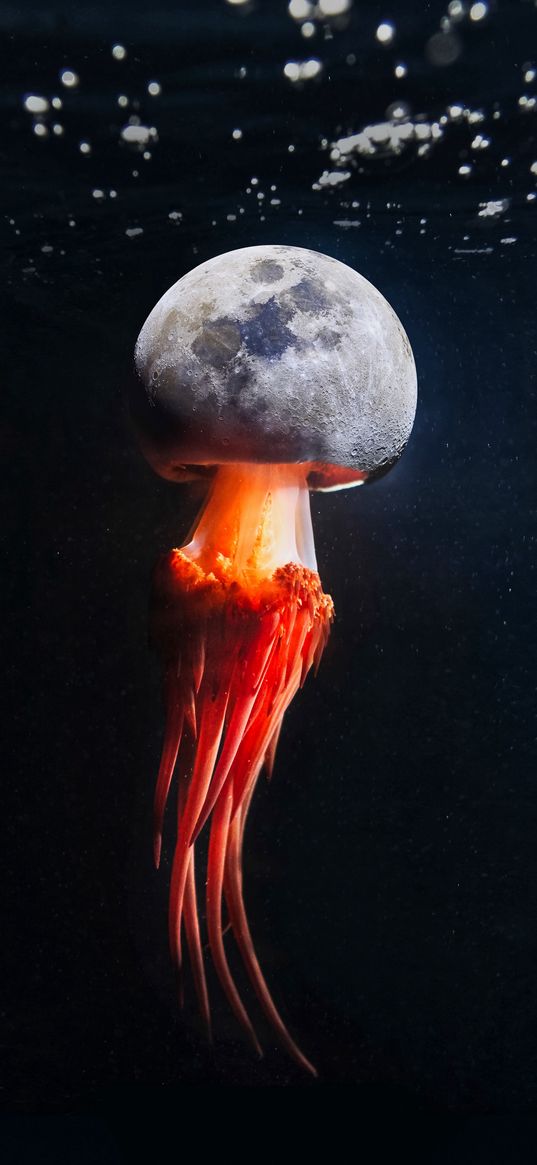 jellyfish, moon, water, illusion