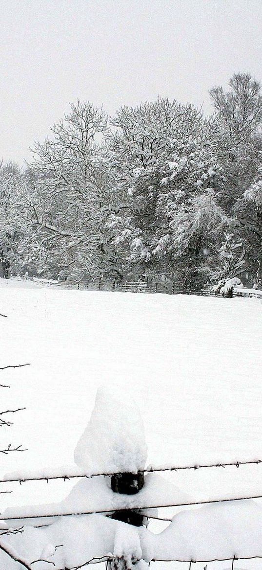 snow, winter, park, fence, trees, snowdrifts