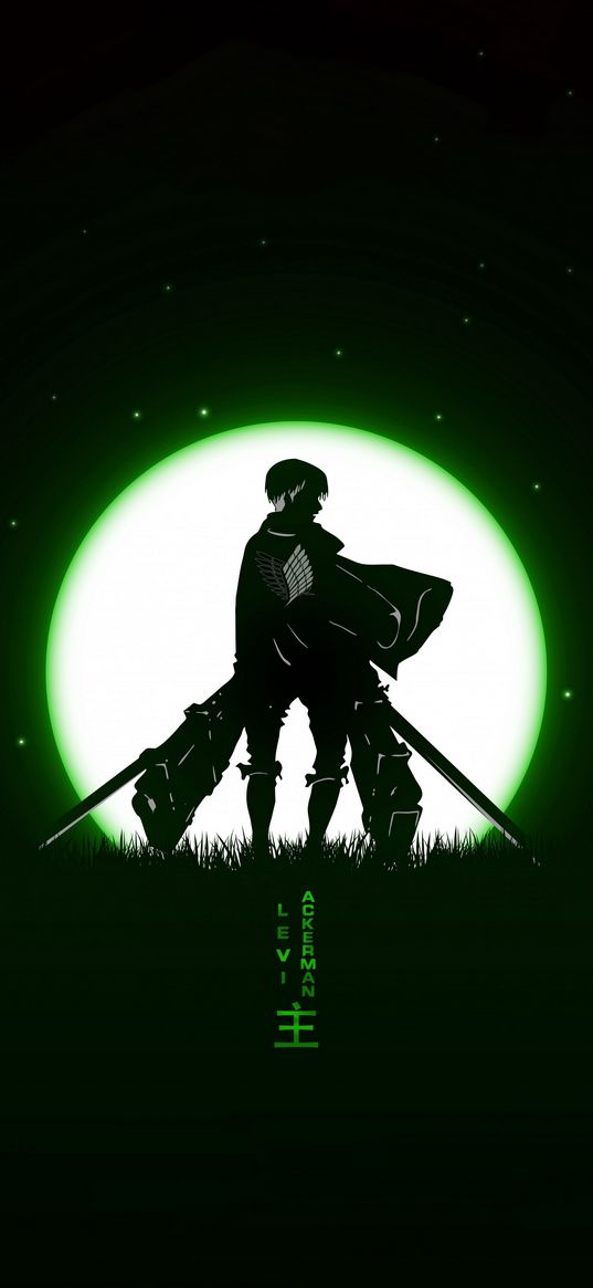 levi ackerman, attack on titan, anime, warrior, guy, cloak, swords, moon, night, black, green, art