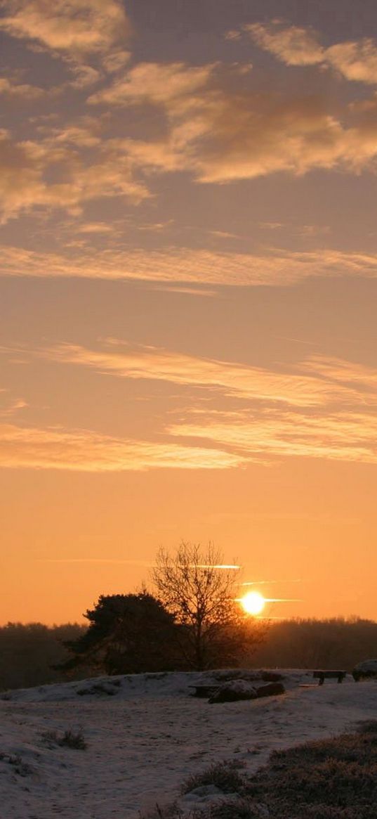 decline, sun, horizon, trees, field