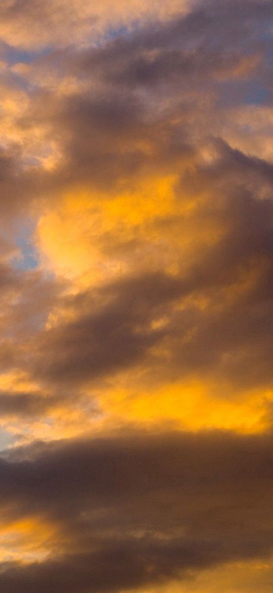 clouds, sky, sunlight, white, blue, yellow