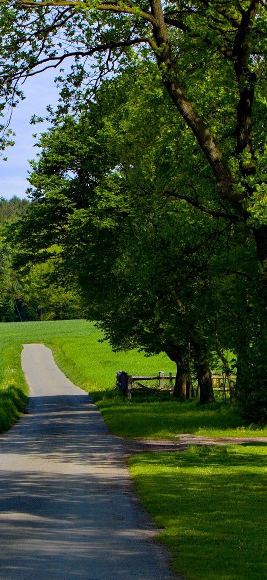 road, field, greens, summer, trees, grass