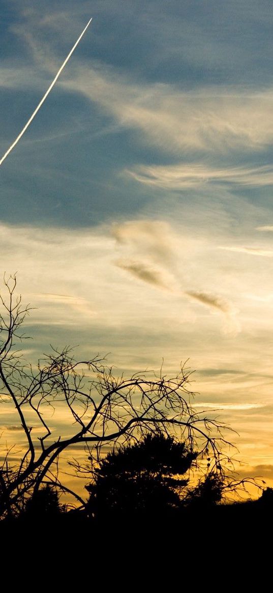 trees, silhouettes, twilight, evening, sky, plane, traces