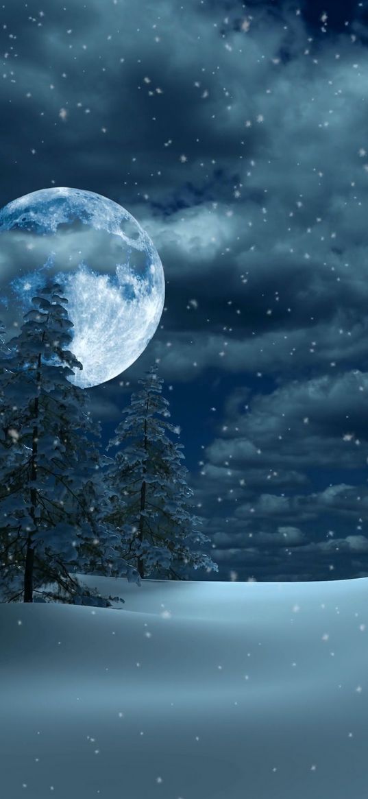 christmas trees, snow, moon, clouds, night, winter, nature