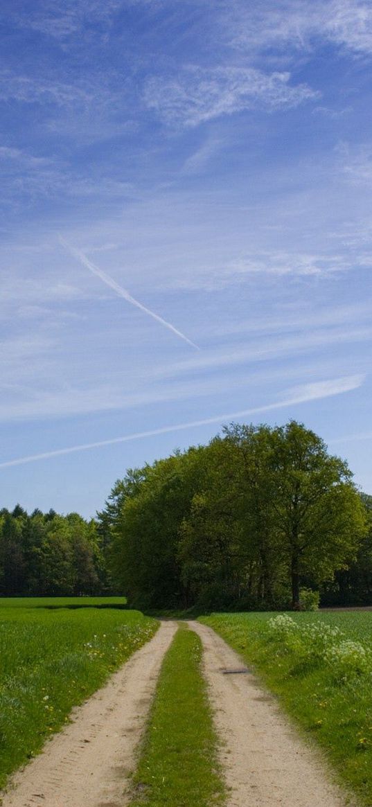 road, field, trees, greens, sky, clouds, blue, green