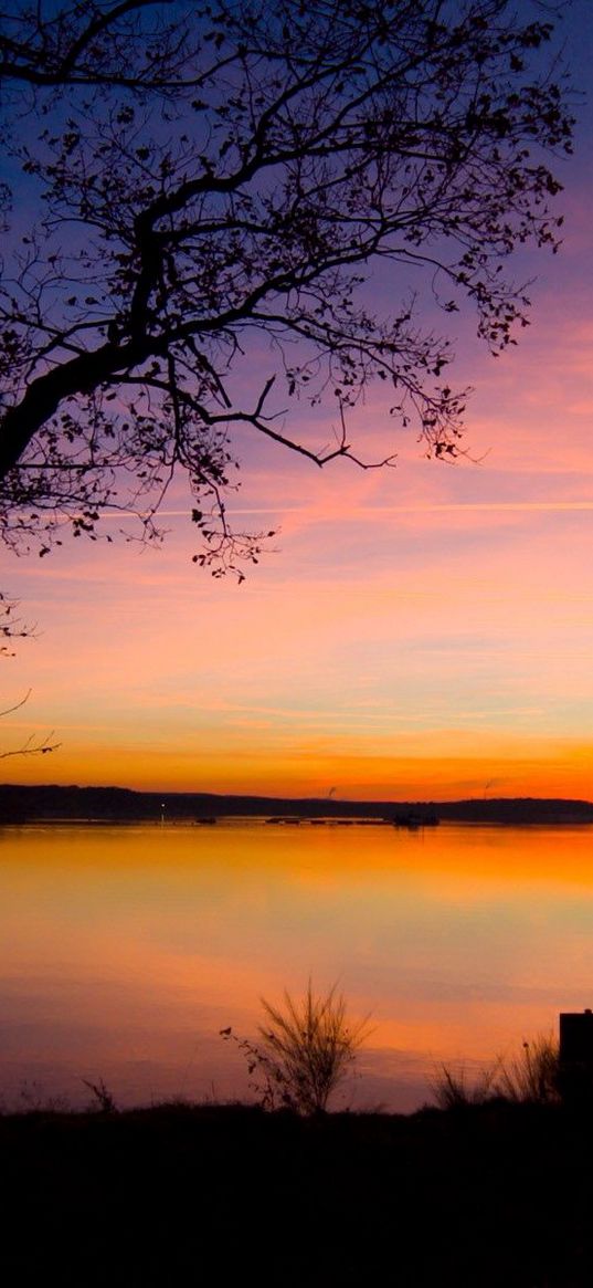 decline, trees, outlines, twilight, lake