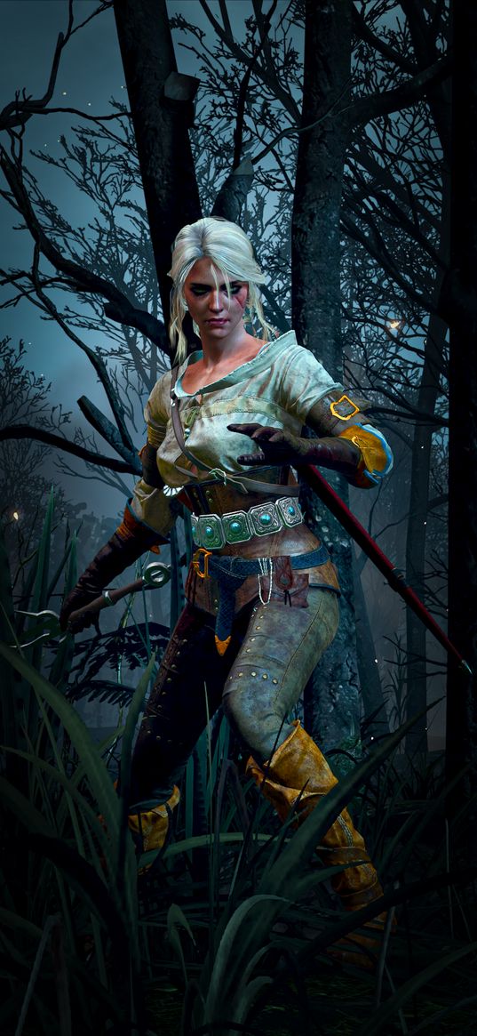 the witcher 3, games, game, ciri, character