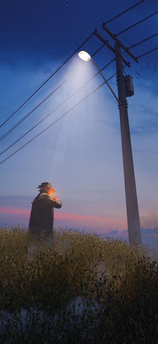 field, flowers, electric pole, blue sky, man