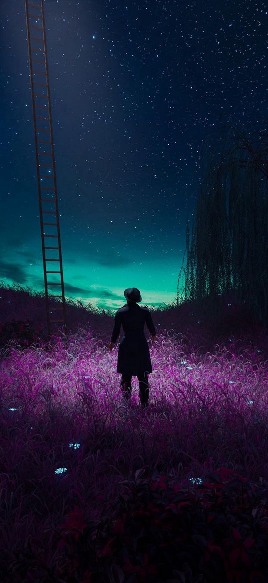 field, flowers, savannah, northern lights, night, starry sky, ladder, man