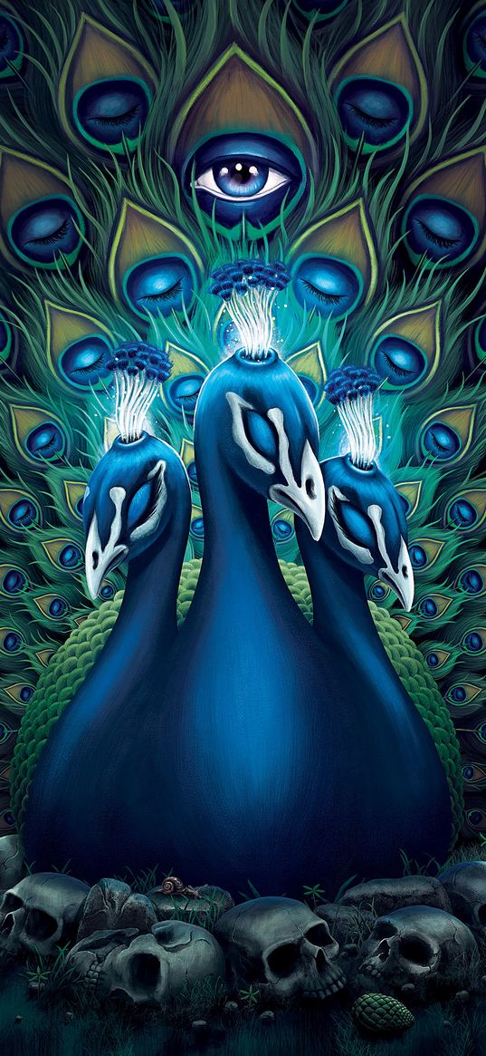 peacock, birds, tail, feathers, eyes, skulls, scary, art