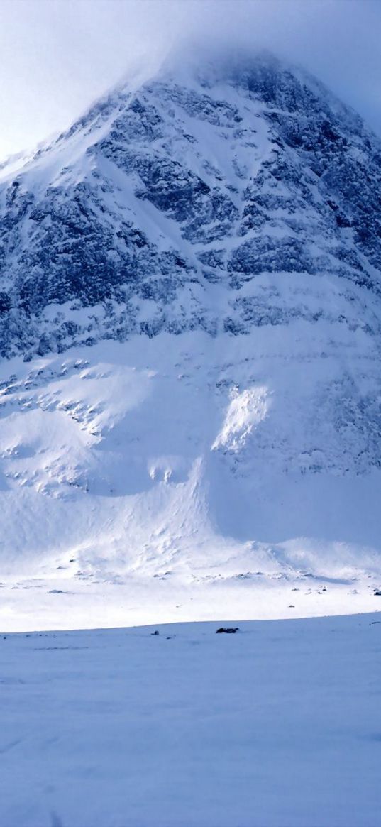 mountain, snow, top, fog