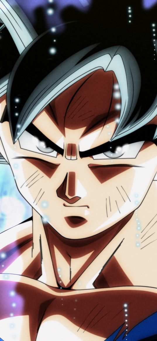 goku, ultra instinct, dragon ball, anime, guy, art