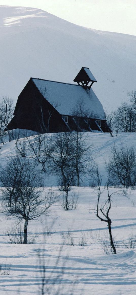 house, mountains, snow, log hut, mail box