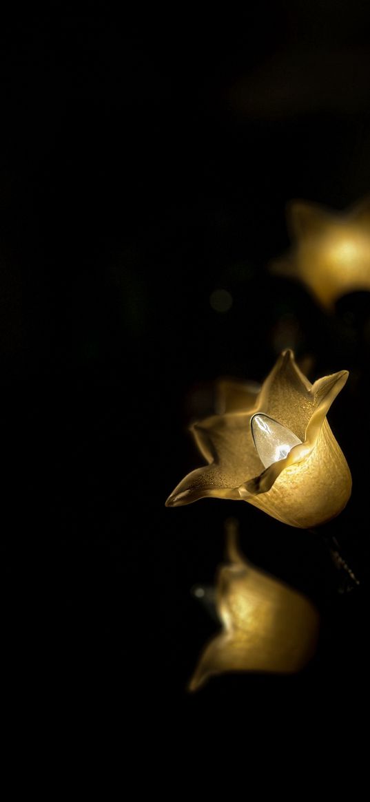 lamp, light bulb, flower, night, darkness
