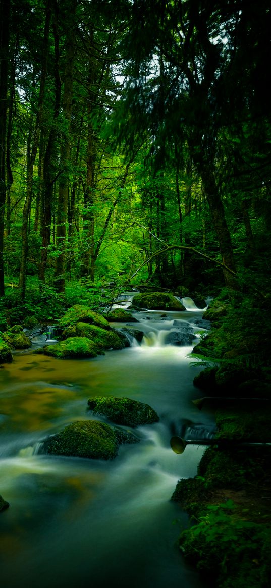 stream, stones, trees, moss, long exposure