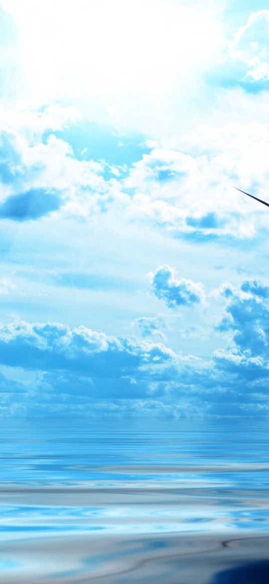 bird, ocean, flight, sky, clouds