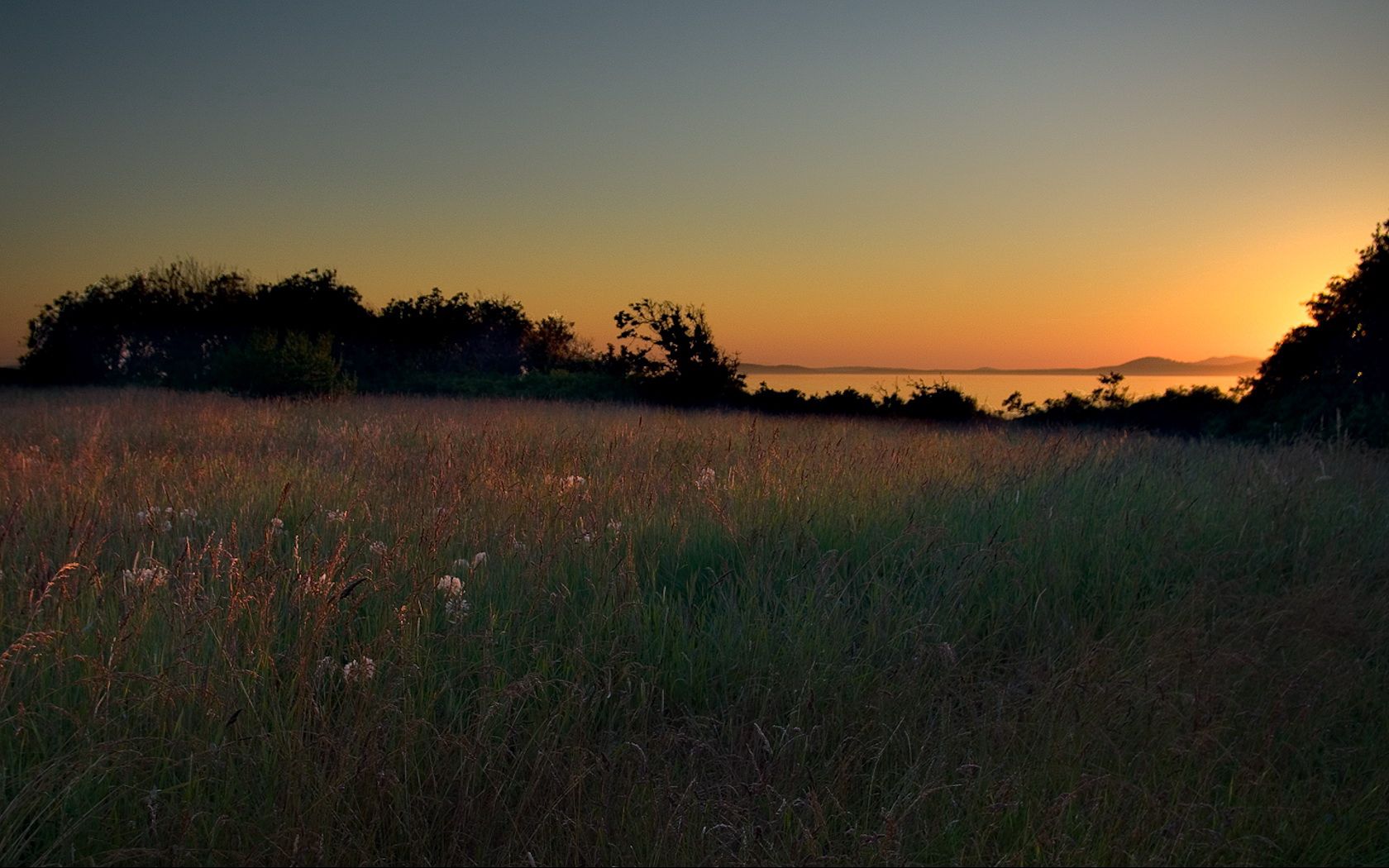 meadow, grass, decline, evening, sky